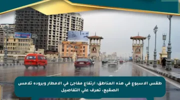 طقس الأسبوع في هذه المناطق: ارتفاع مفاجئ في الأمطار وبرودة تلامس الصقيع، تعرف على التفاصيل